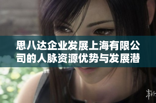 思八达企业发展上海有限公司的人脉资源优势与发展潜力探讨