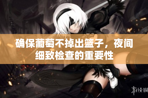 确保葡萄不掉出篮子，夜间细致检查的重要性