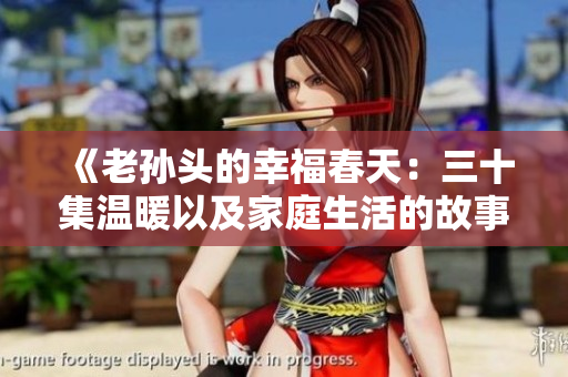 《老孙头的幸福春天：三十集温暖以及家庭生活的故事》