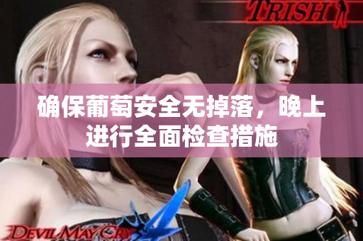 确保葡萄安全无掉落，晚上进行全面检查措施