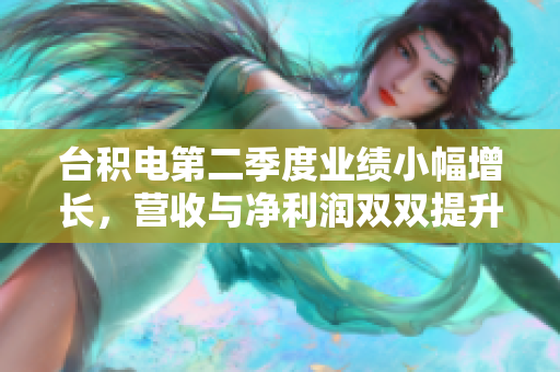台积电第二季度业绩小幅增长，营收与净利润双双提升