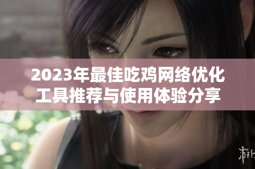 2023年最佳吃鸡网络优化工具推荐与使用体验分享