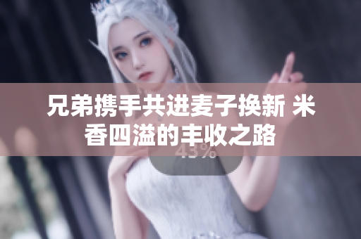 兄弟携手共进麦子换新 米香四溢的丰收之路