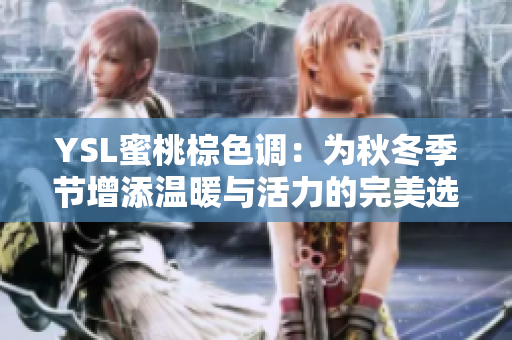 YSL蜜桃棕色调：为秋冬季节增添温暖与活力的完美选择