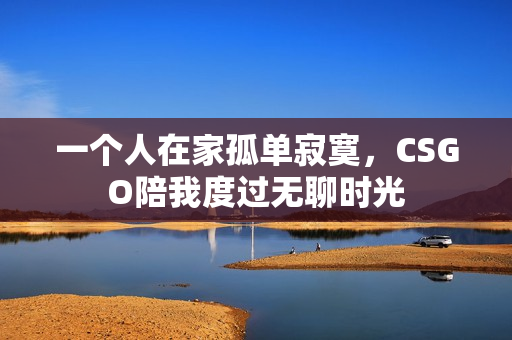 一个人在家孤单寂寞，CSGO陪我度过无聊时光