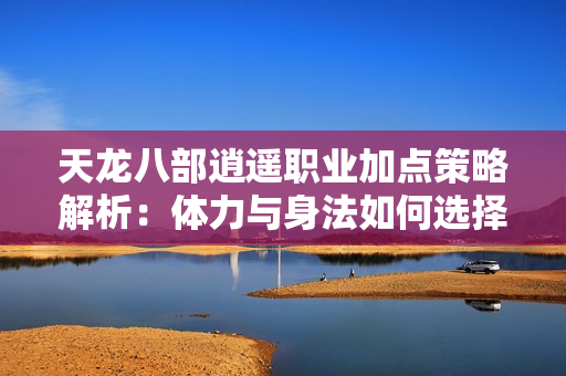 天龙八部逍遥职业加点策略解析：体力与身法如何选择