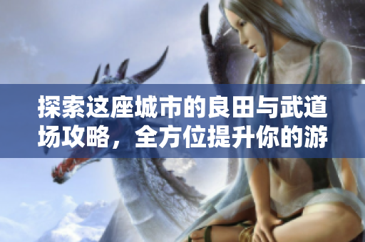 探索这座城市的良田与武道场攻略，全方位提升你的游戏体验
