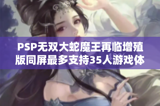 PSP无双大蛇魔王再临增殖版同屏最多支持35人游戏体验揭秘