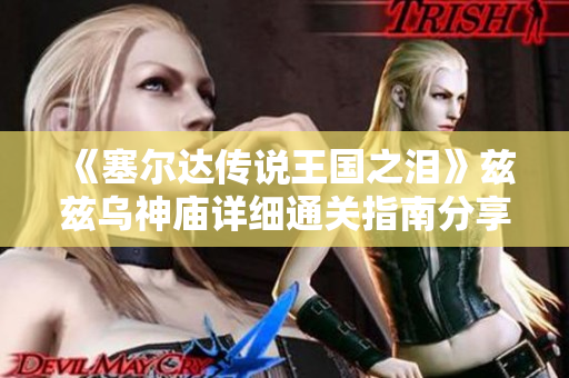 《塞尔达传说王国之泪》兹兹乌神庙详细通关指南分享