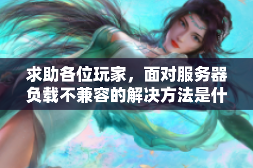 求助各位玩家，面对服务器负载不兼容的解决方法是什么？