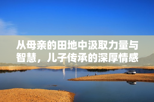 从母亲的田地中汲取力量与智慧，儿子传承的深厚情感与责任