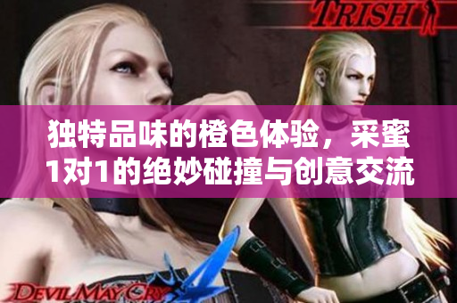 独特品味的橙色体验，采蜜1对1的绝妙碰撞与创意交流