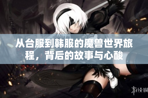 从台服到韩服的魔兽世界旅程，背后的故事与心酸