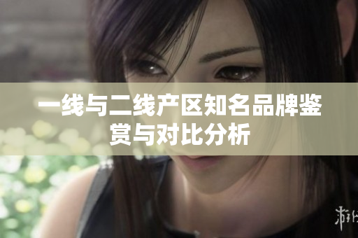 一线与二线产区知名品牌鉴赏与对比分析