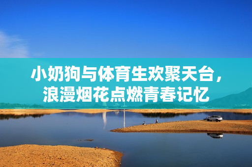 小奶狗与体育生欢聚天台，浪漫烟花点燃青春记忆