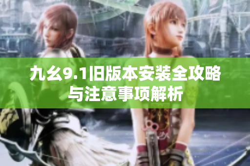 九幺9.1旧版本安装全攻略与注意事项解析