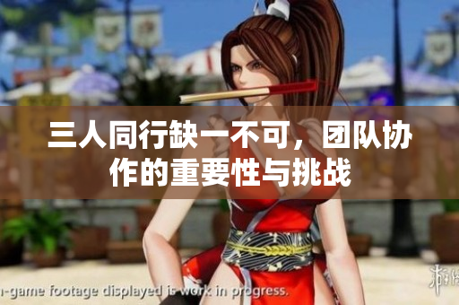 三人同行缺一不可，团队协作的重要性与挑战