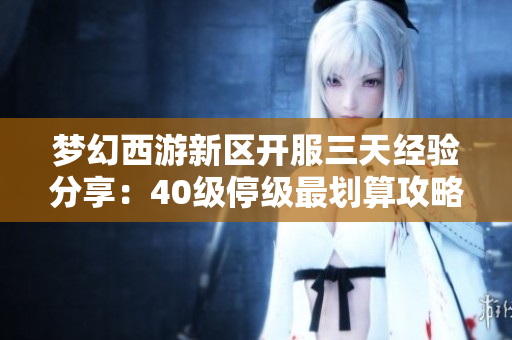 梦幻西游新区开服三天经验分享：40级停级最划算攻略