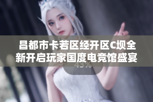 昌都市卡若区经开区C坝全新开启玩家国度电竞馆盛宴活动