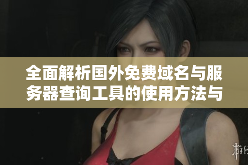 全面解析国外免费域名与服务器查询工具的使用方法与推荐