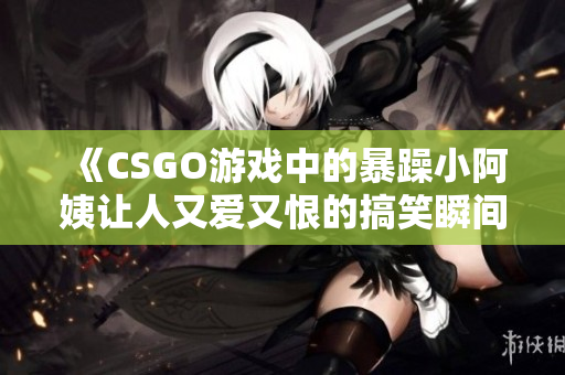 《CSGO游戏中的暴躁小阿姨让人又爱又恨的搞笑瞬间》