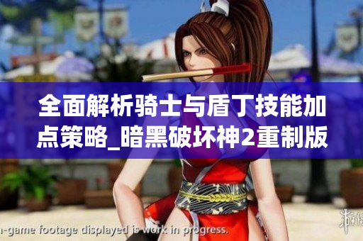 全面解析骑士与盾丁技能加点策略_暗黑破坏神2重制版全职业指南