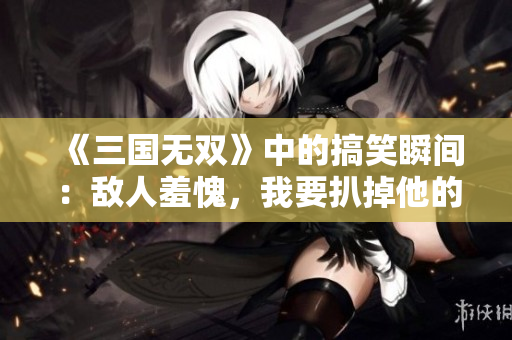 《三国无双》中的搞笑瞬间：敌人羞愧，我要扒掉他的装备！