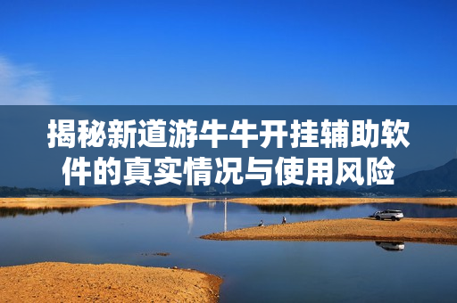 揭秘新道游牛牛开挂辅助软件的真实情况与使用风险