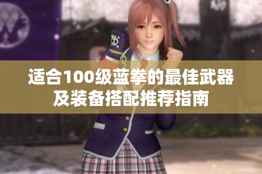 适合100级蓝拳的最佳武器及装备搭配推荐指南