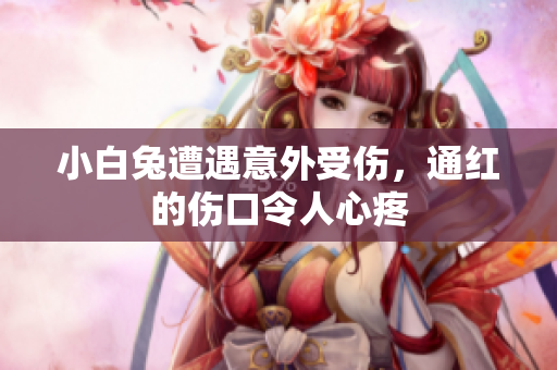 小白兔遭遇意外受伤，通红的伤口令人心疼