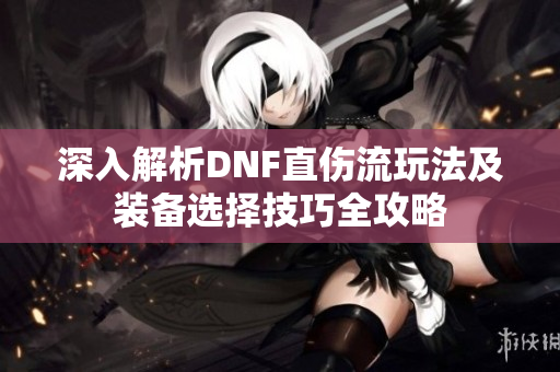 深入解析DNF直伤流玩法及装备选择技巧全攻略