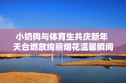 小奶狗与体育生共庆新年 天台燃放绚丽烟花温馨瞬间