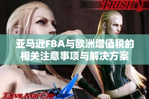 亚马逊FBA与欧洲增值税的相关注意事项与解决方案
