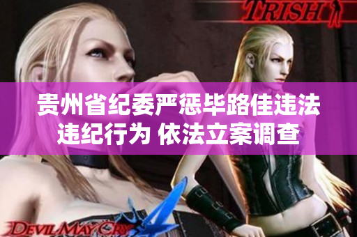 贵州省纪委严惩毕路佳违法违纪行为 依法立案调查