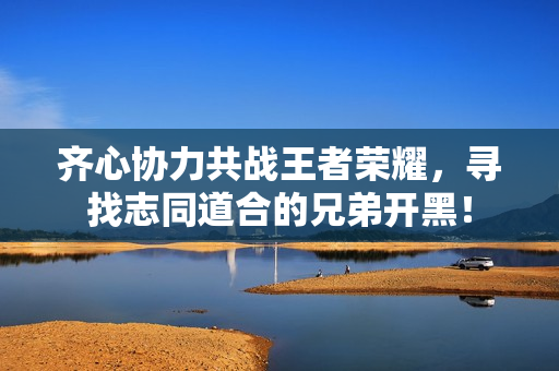 齐心协力共战王者荣耀，寻找志同道合的兄弟开黑！