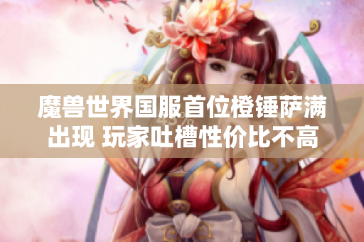 魔兽世界国服首位橙锤萨满出现 玩家吐槽性价比不高