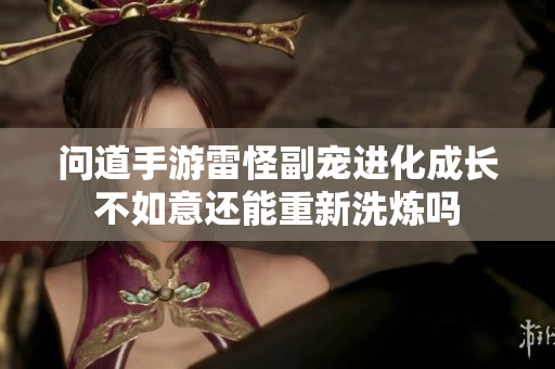问道手游雷怪副宠进化成长不如意还能重新洗炼吗