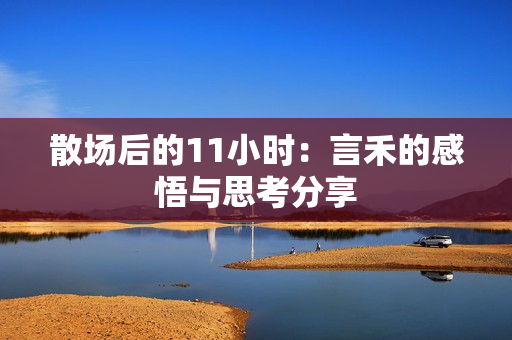 散场后的11小时：言禾的感悟与思考分享
