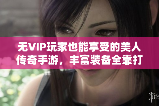 无VIP玩家也能享受的美人传奇手游，丰富装备全靠打！