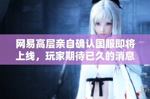 网易高层亲自确认国服即将上线，玩家期待已久的消息终成真