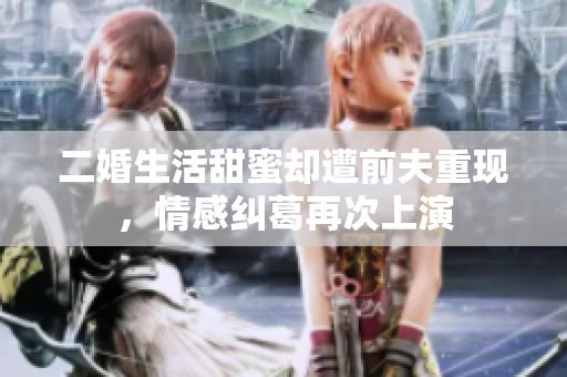 二婚生活甜蜜却遭前夫重现，情感纠葛再次上演