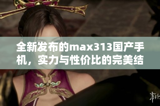全新发布的max313国产手机，实力与性价比的完美结合