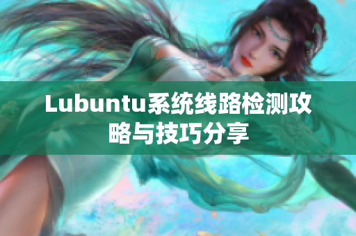 Lubuntu系统线路检测攻略与技巧分享