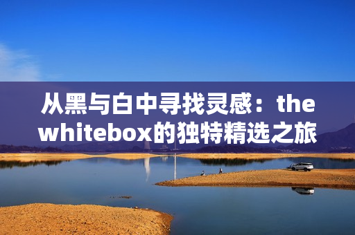 从黑与白中寻找灵感：thewhitebox的独特精选之旅