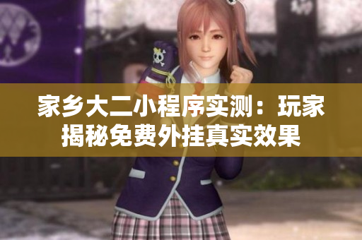 家乡大二小程序实测：玩家揭秘免费外挂真实效果