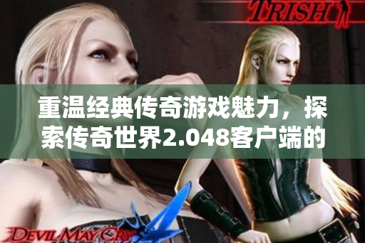 重温经典传奇游戏魅力，探索传奇世界2.048客户端的独特体验