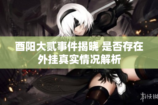 酉阳大贰事件揭晓 是否存在外挂真实情况解析