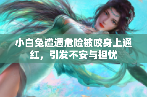 小白兔遭遇危险被咬身上通红，引发不安与担忧