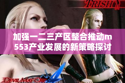 加强一二三产区整合推动m553产业发展的新策略探讨