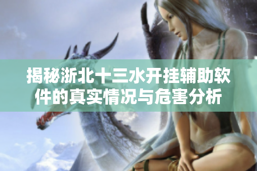 揭秘浙北十三水开挂辅助软件的真实情况与危害分析